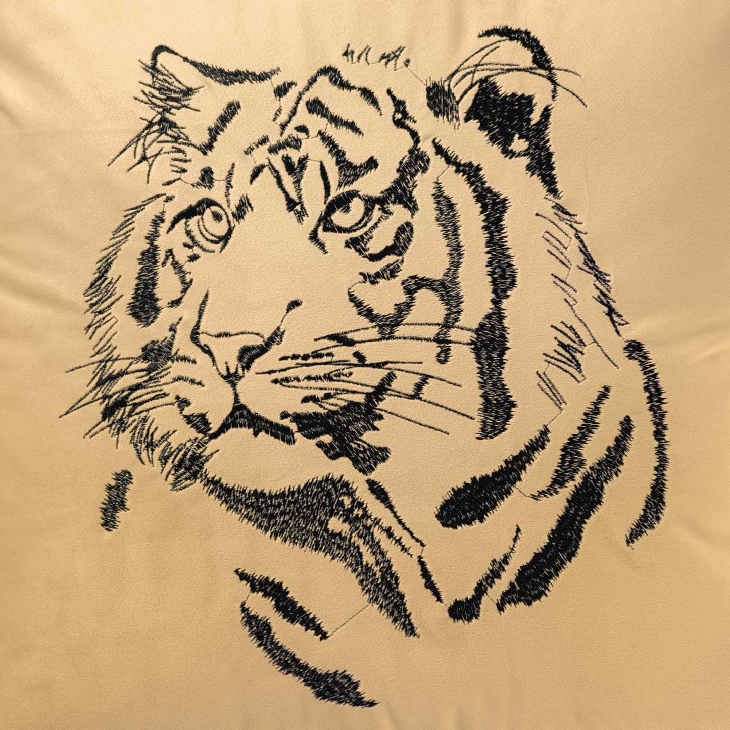 Tiger | Champagne