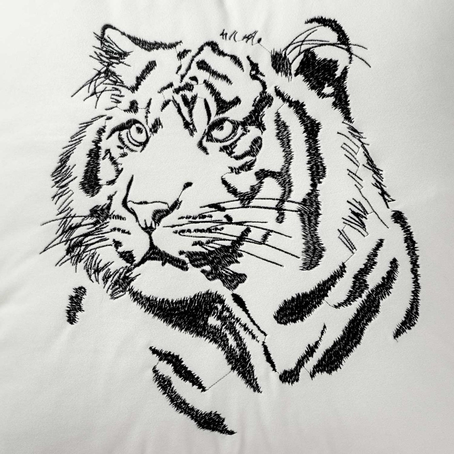 Tiger | Eggshell