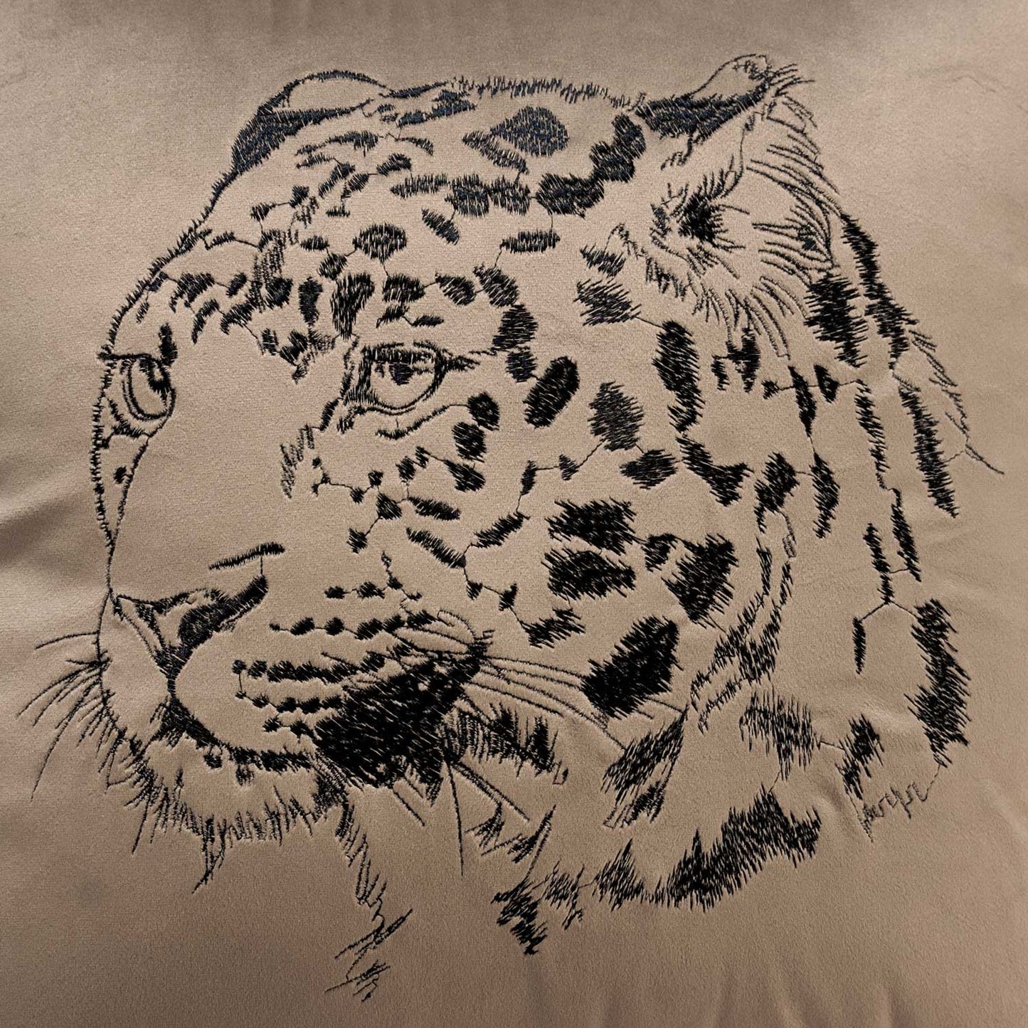 Gepard | Oyster
