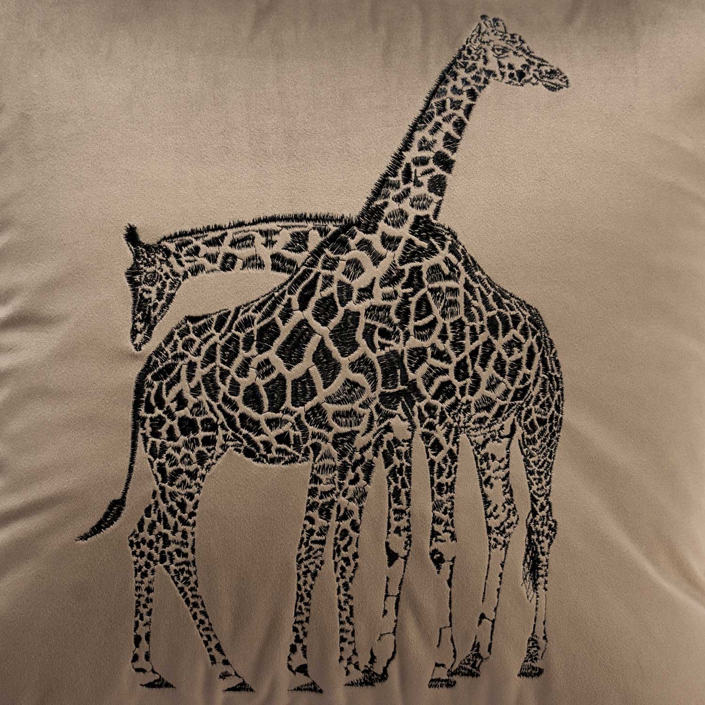 Giraff | Oyster