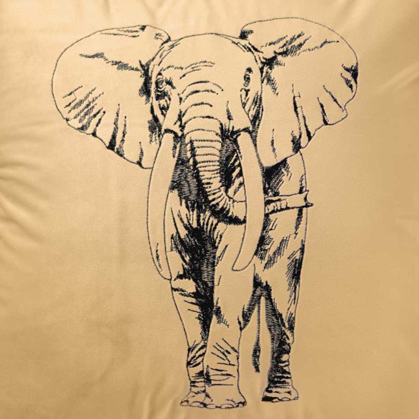 Elefant | Champagne