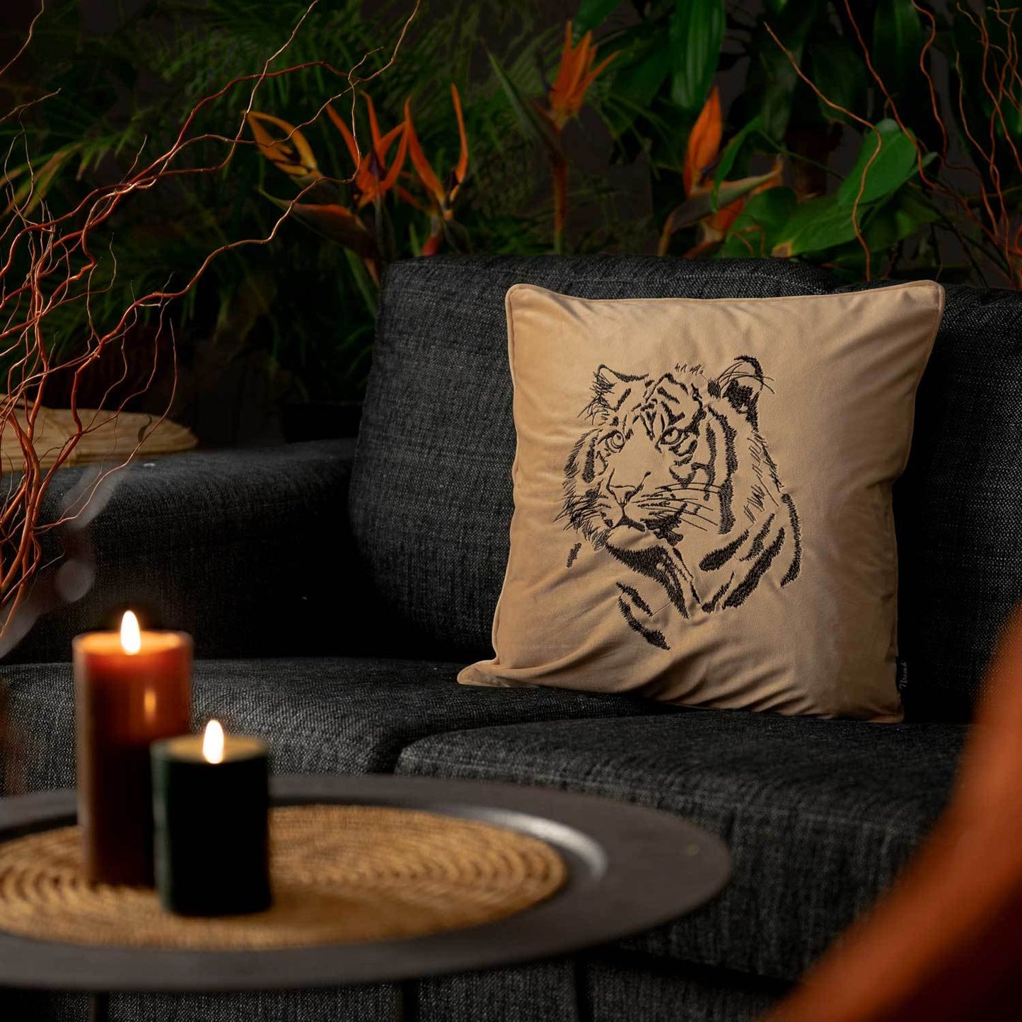 Tiger | Caffe latte