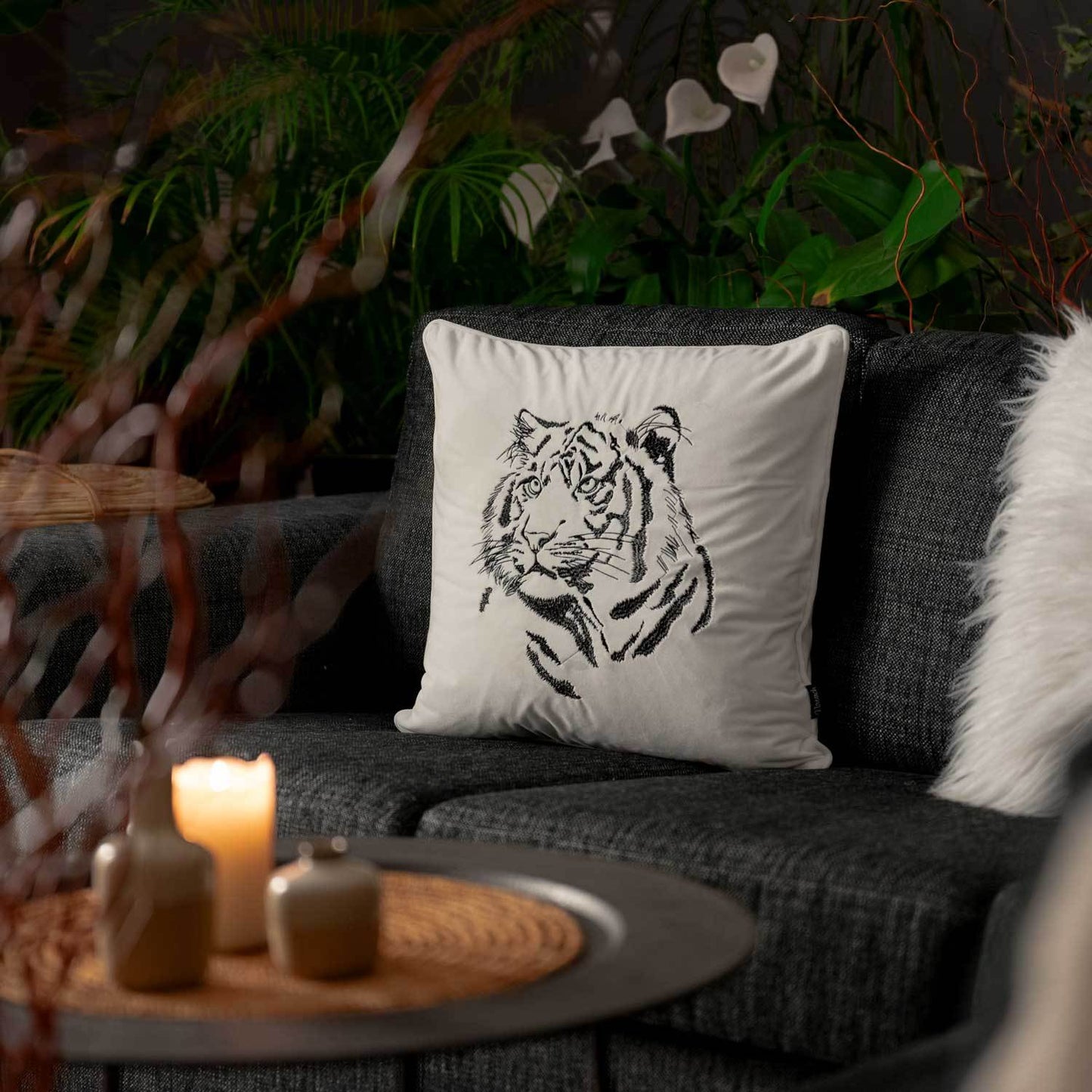 Tiger | Eggshell