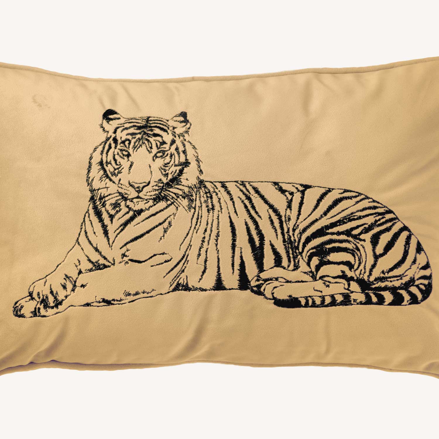 Tiger Lumbar | Champagne