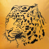 Gepard | Turmeric