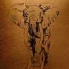 Elefant | Cinnamon