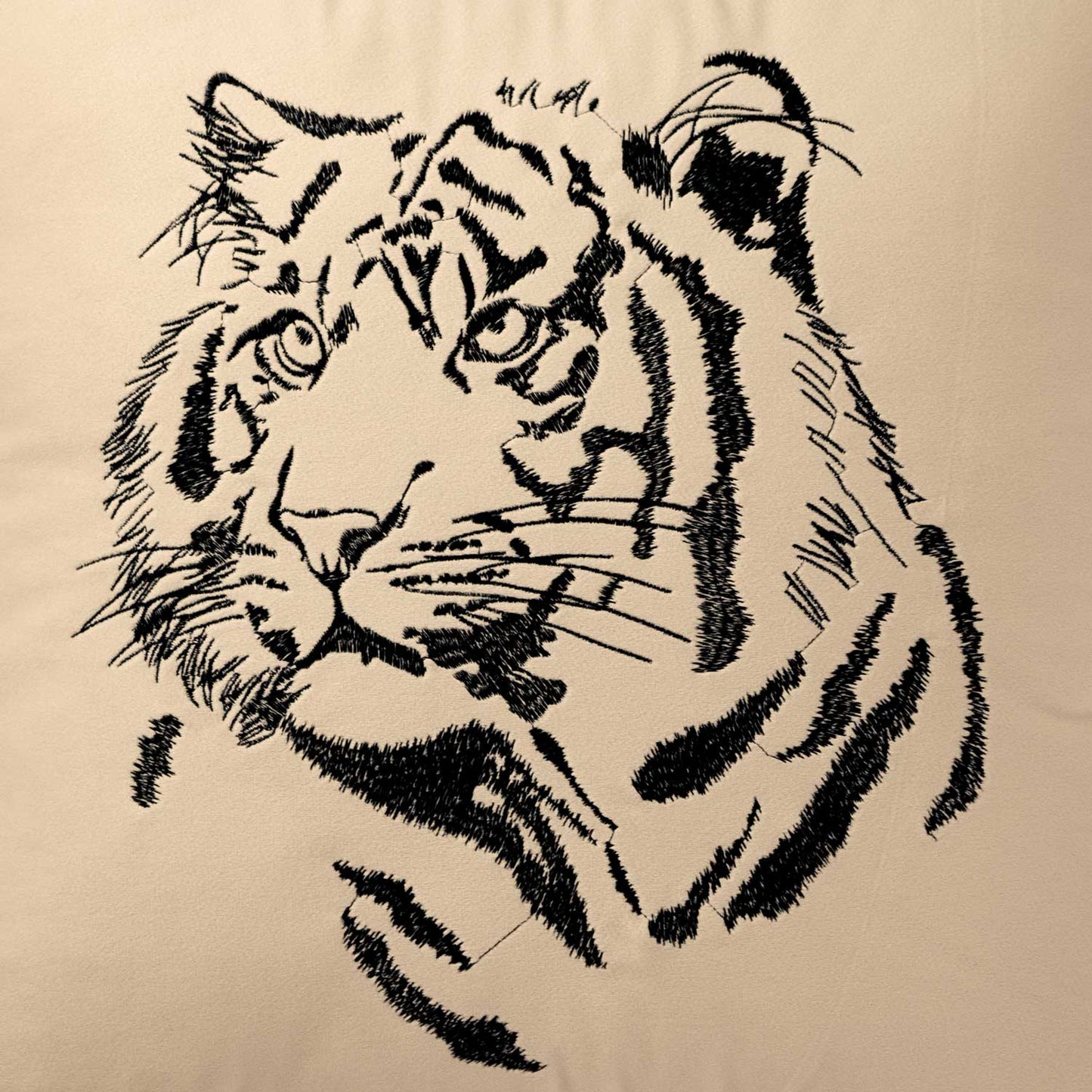 Tiger | Sand