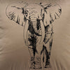 Elefant | Oyster