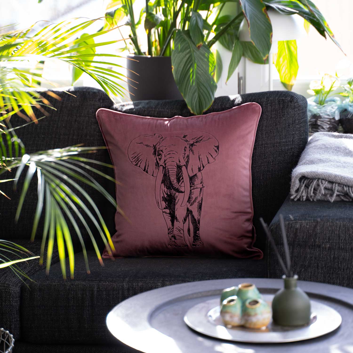 Elefant | Pinot Noir