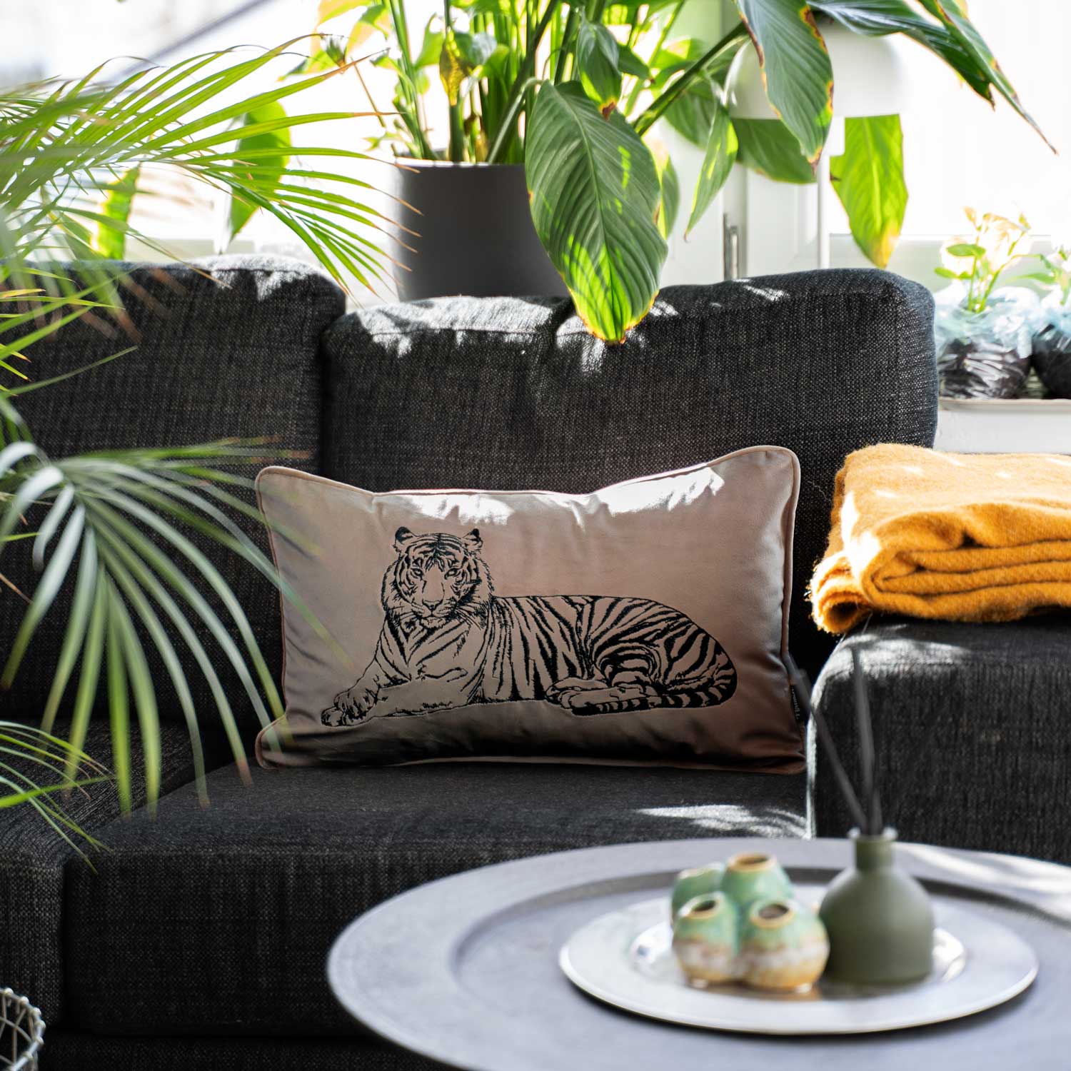 Tiger Lumbar | Oyster