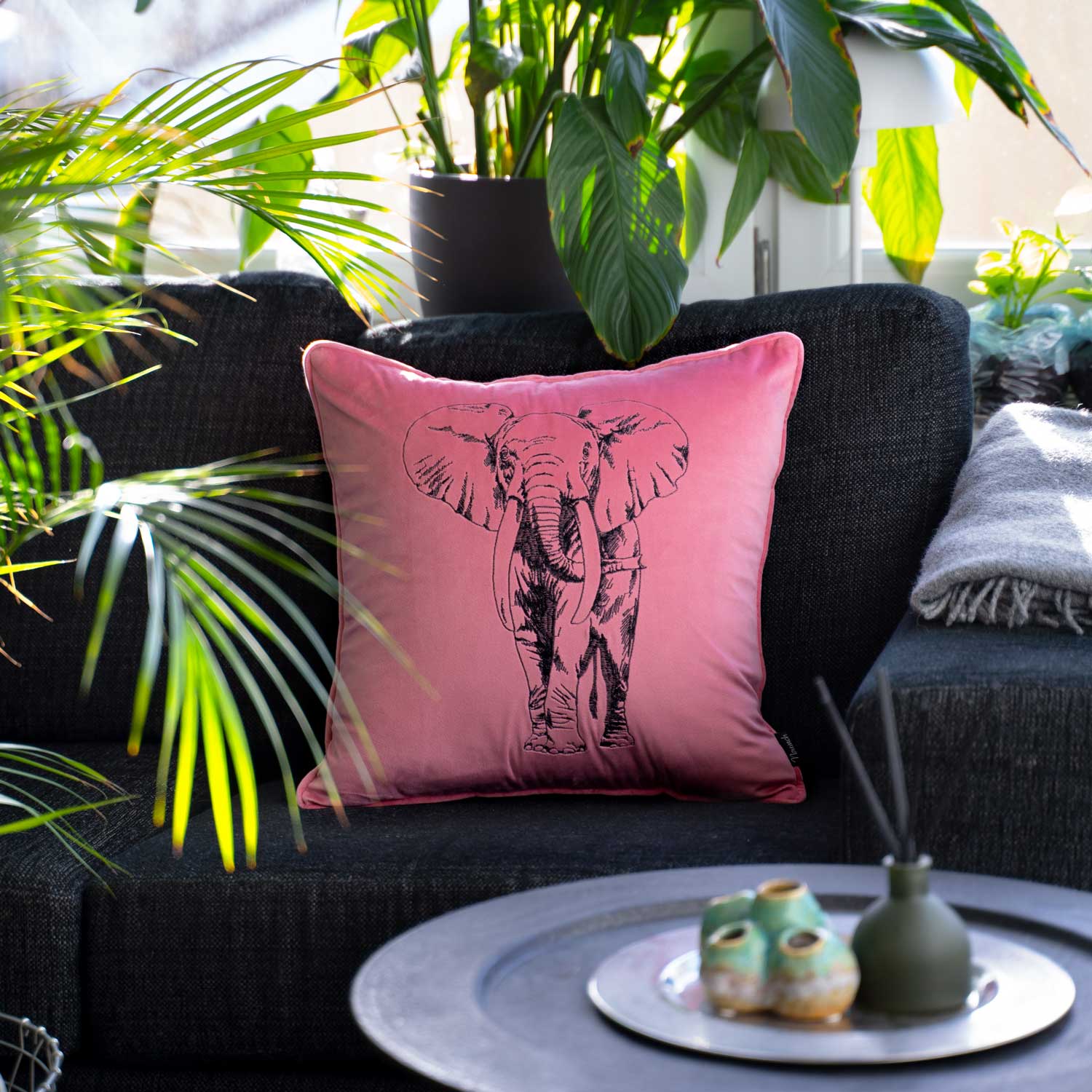 Elefant | Apple Blossom