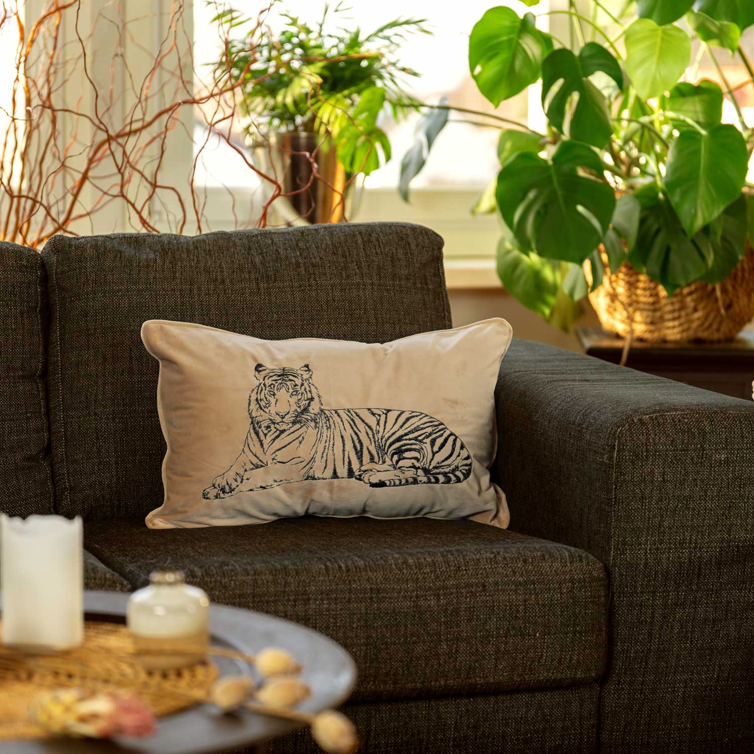 Tiger Lumbar | Caffe latte