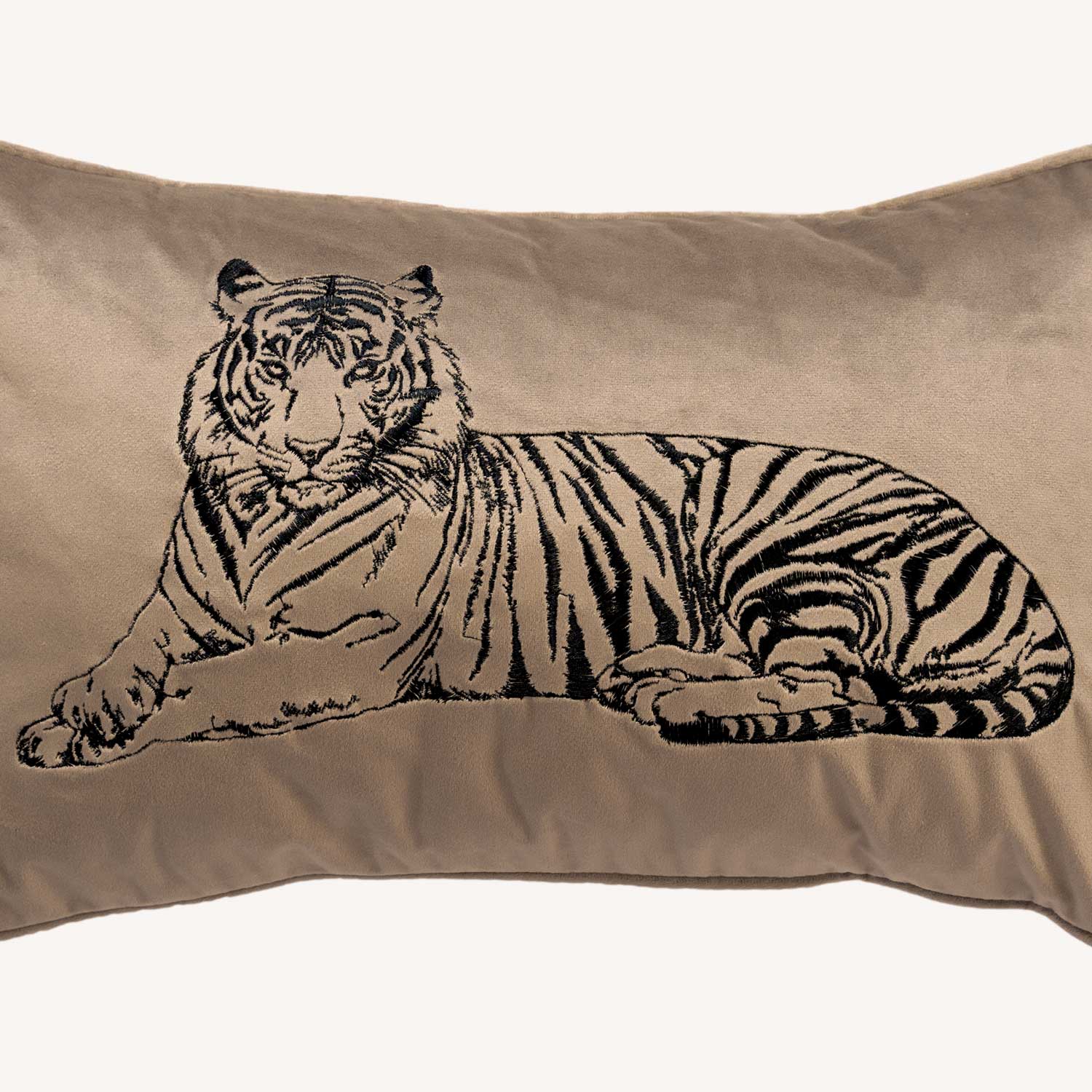 Tiger Lumbar | Oyster