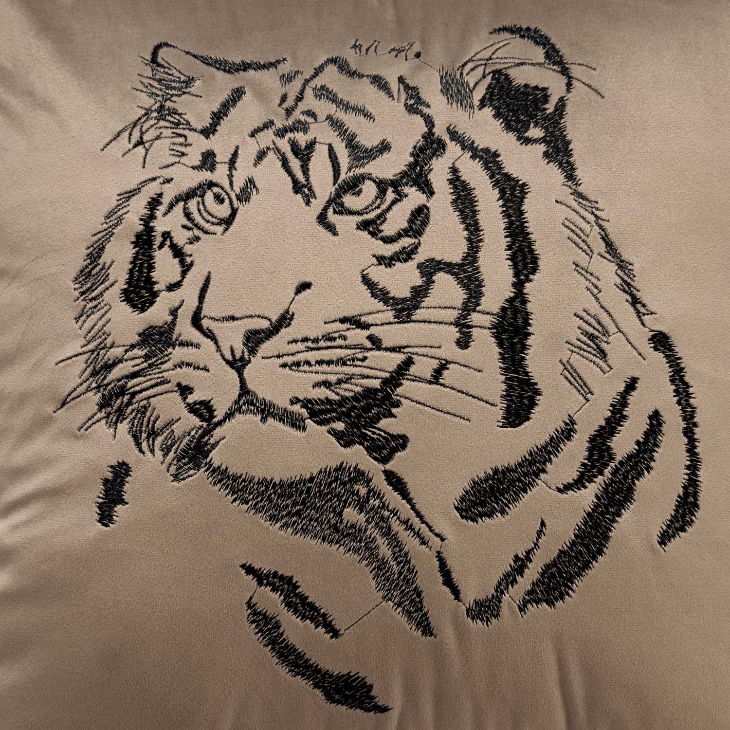 Tiger | Oyster